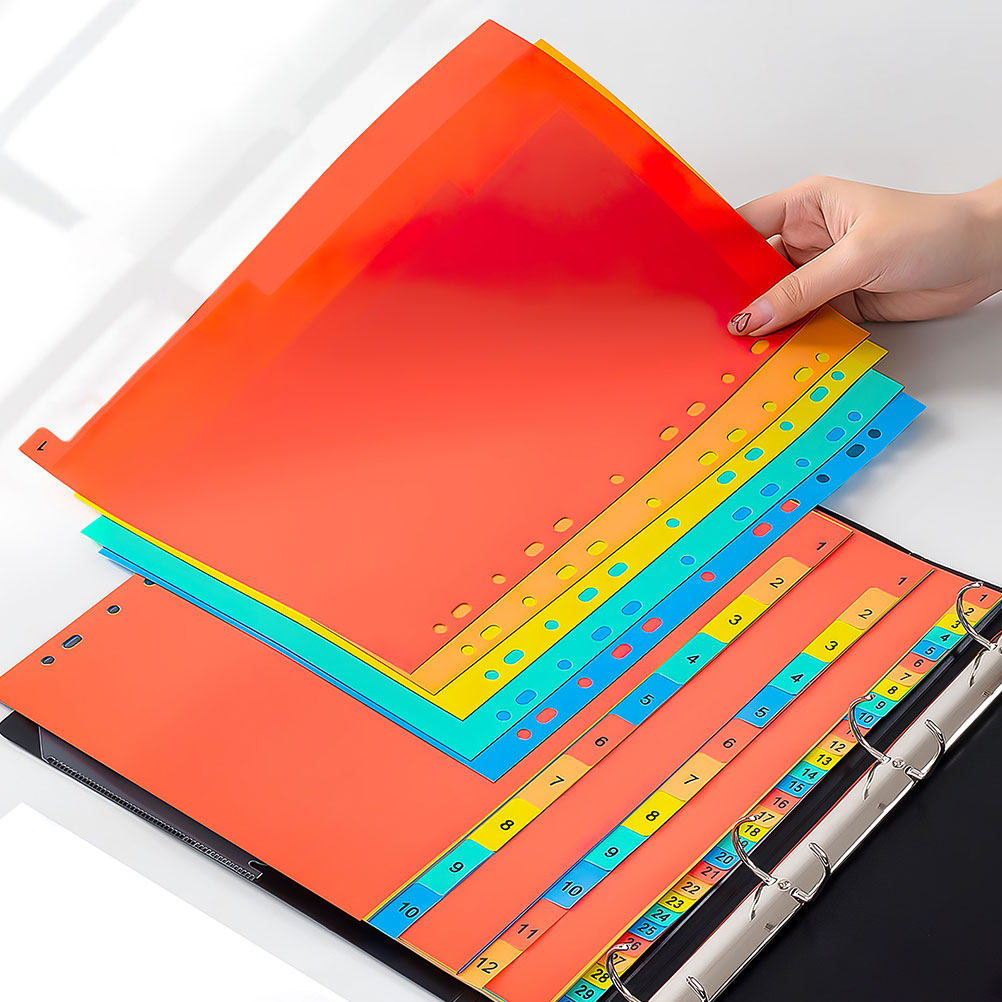 2 ensembles de séparateurs d'i - Tab Divider A4 avis et prix